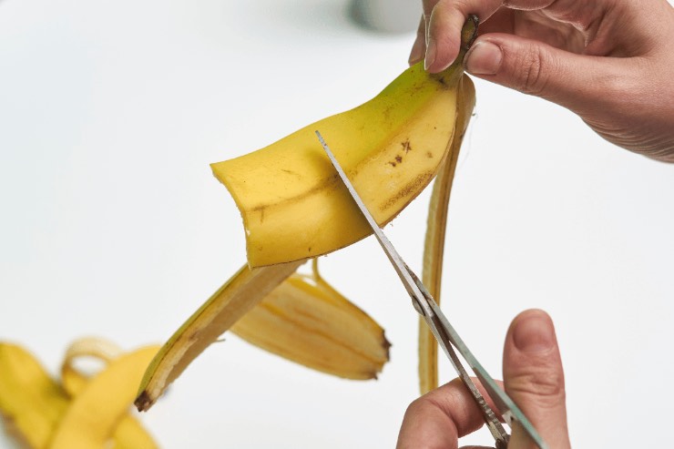 Ecco come usare le bucce di banane per curare le piante