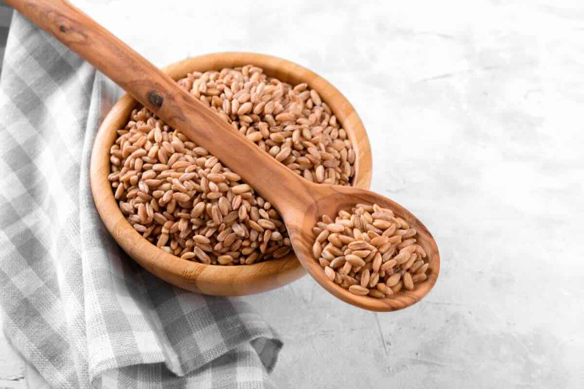 Cosa sapere sul farro